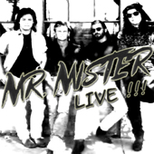http://www.forgottenmelodies.com/MrMisterLive.jpg